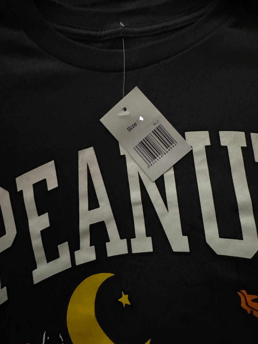 Peanuts Snoopy Halloween Pumpkin Graphic T-Shirt Dark Gray - New