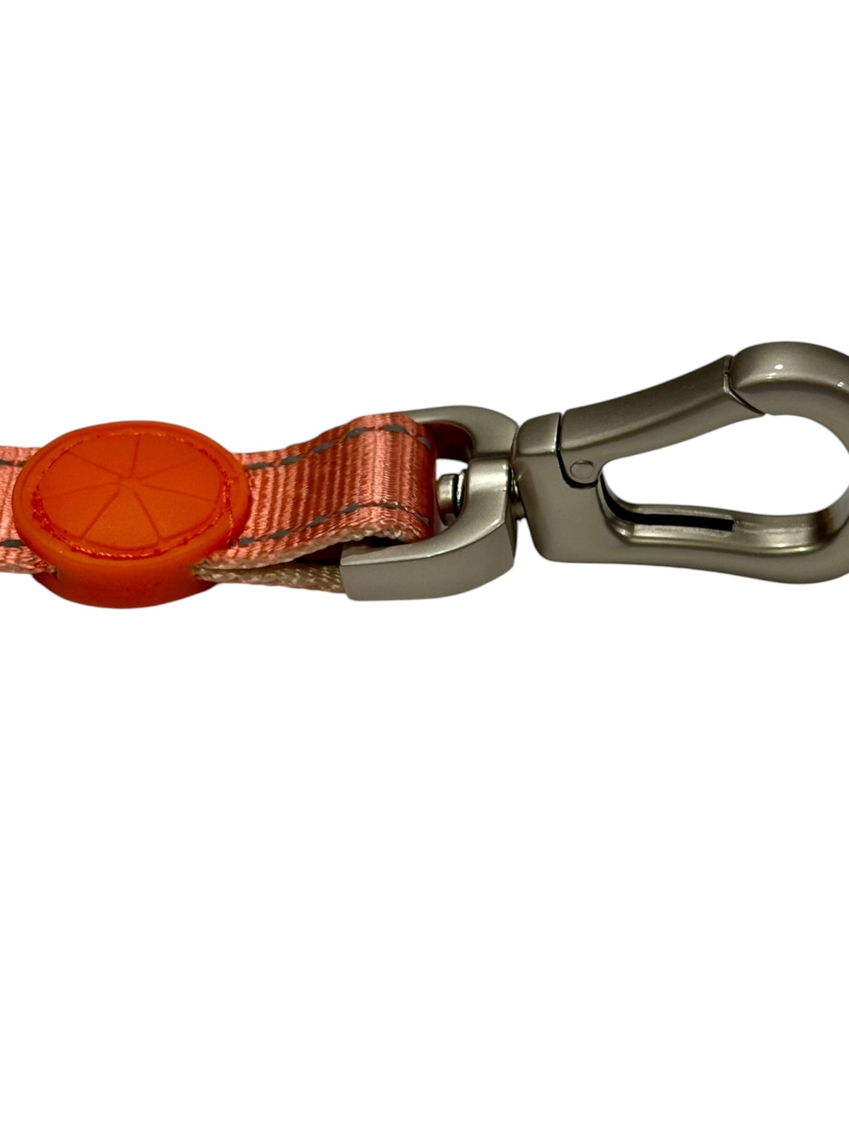 Reflective Bungee Dog Leash & Collar Set with Waste Bag Holder