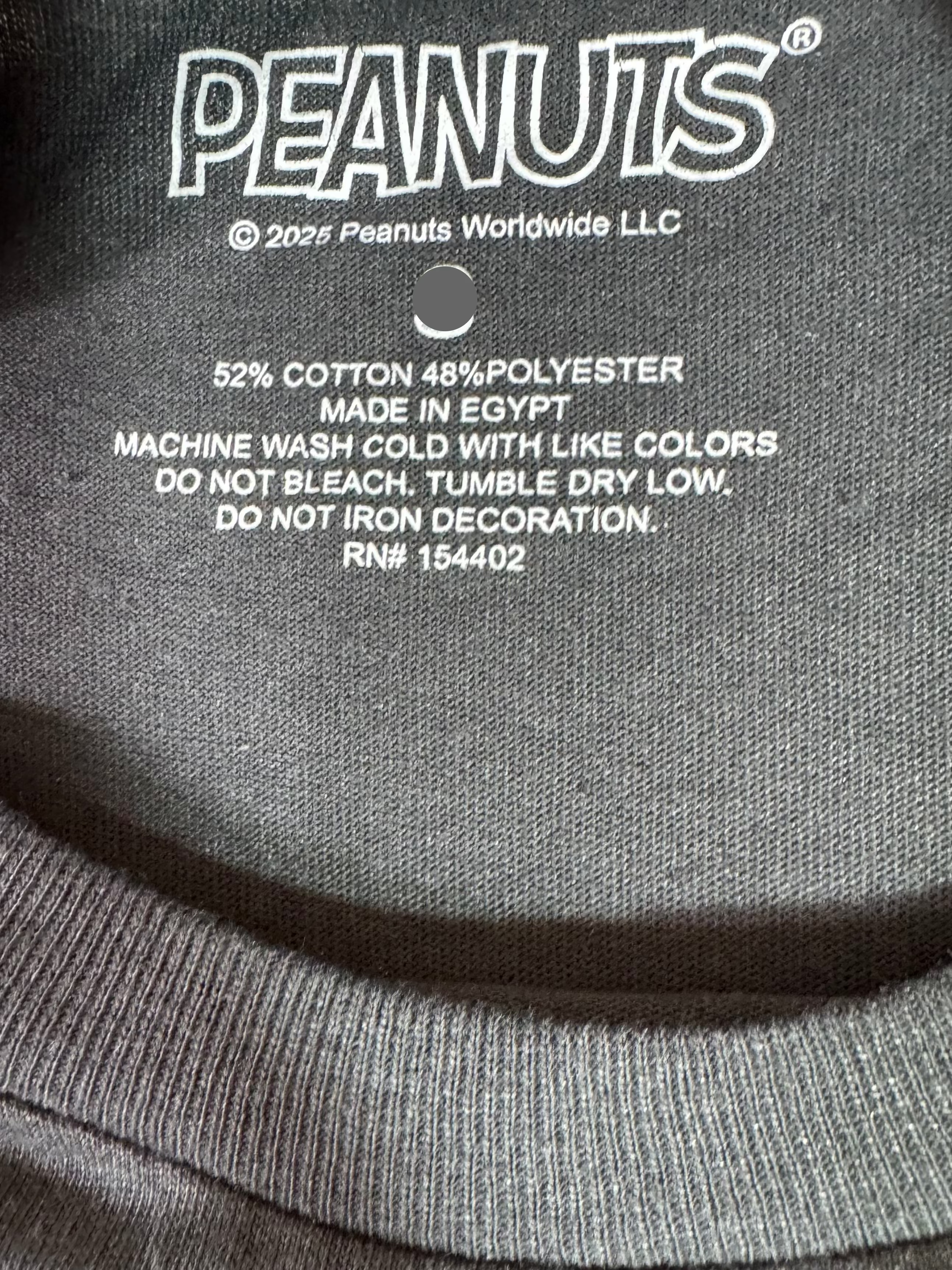 Peanuts Snoopy Halloween Pumpkin Graphic T-Shirt Dark Gray - New
