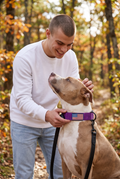 Adjustable Tactical Dog Collar with American Flag Patch – Purple